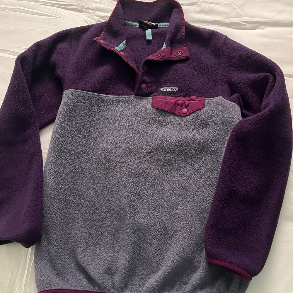 Patagonia Synchilla Purple and Teal Fleece Pullover